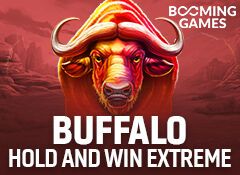 Buffalo Hold and Win Extreme